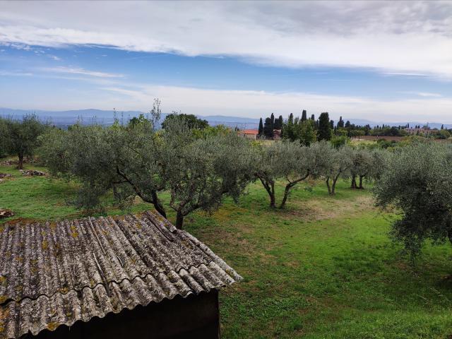 Terreno in affitto a Sarteano, Toscana