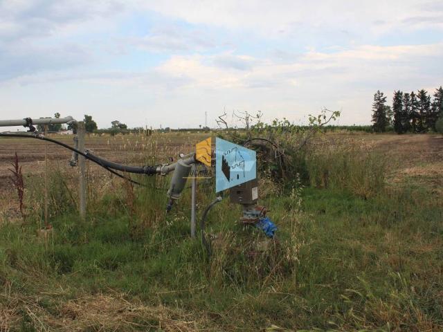 Terreno in vendita a Scanzano Jonico, Basilicata