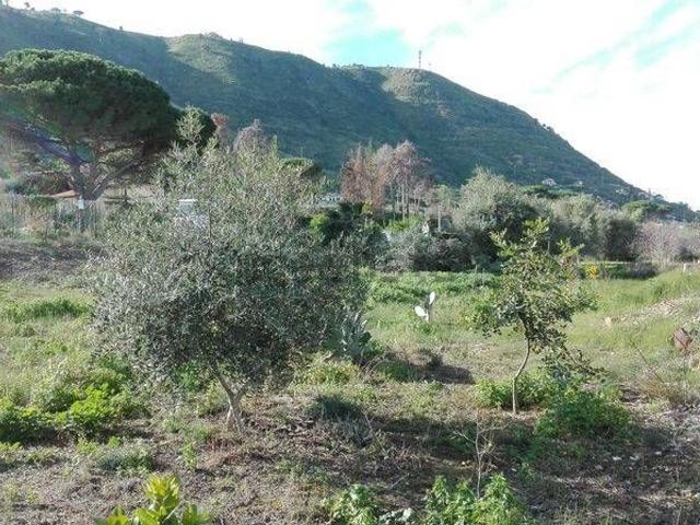 Terreno in affitto a Mazzaforno, Cefalù