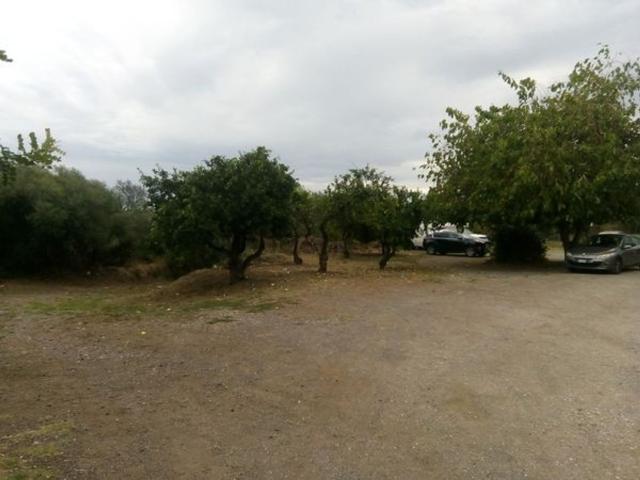 Terreno in affitto a Santa Caterina, Acireale