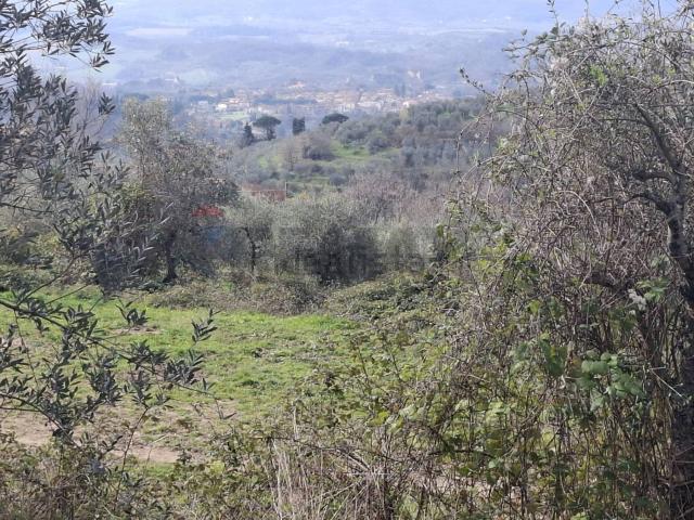 Terreno in affitto a Castelfranco Piandiscò, Toscana