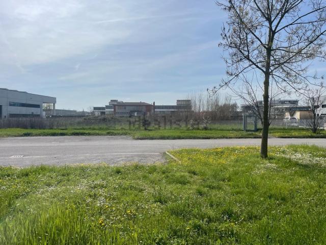 Terreno in affitto a Nuovo Circondario Imolese, Castel Guelfo Di Bologna