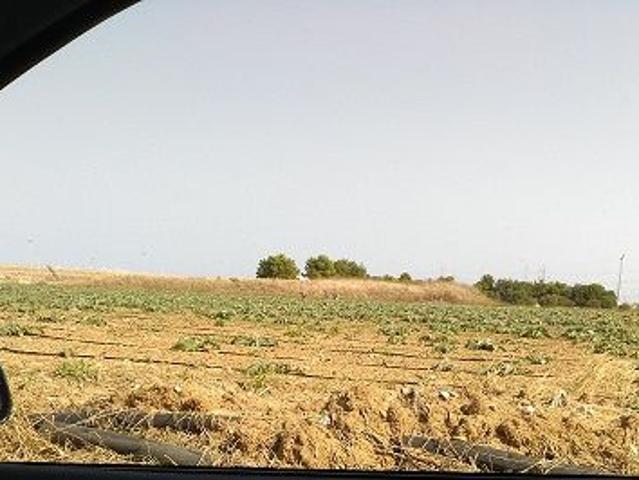 Terreno in vendita a Puglia, Brindisi