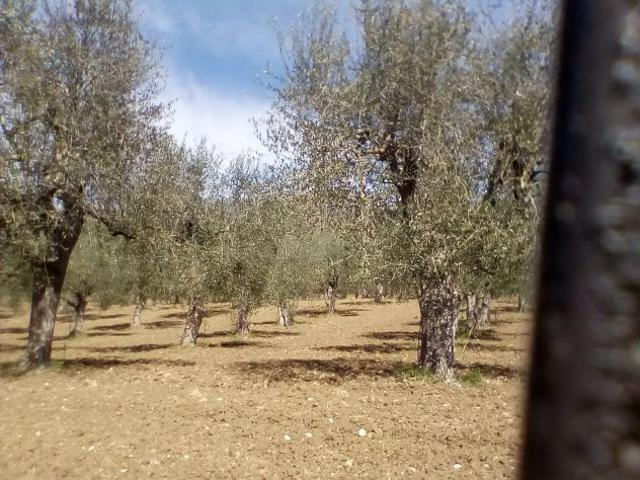 Terreno in vendita a Auletta, Campania