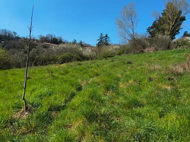 Terreno in vendita a Abbadia San Salvatore, Toscana