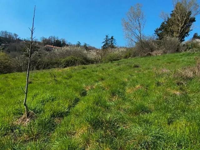 Terreno in vendita a Abbadia San Salvatore, Toscana
