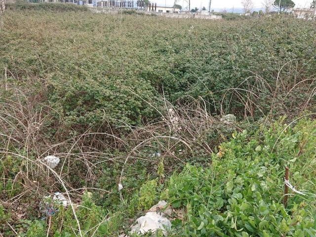 Terreno in vendita a Acerra, Campania