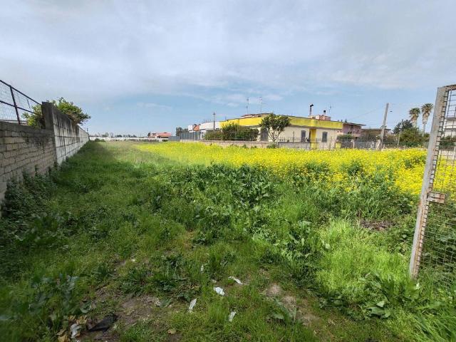 Terreno in vendita a Acerra, Napoli