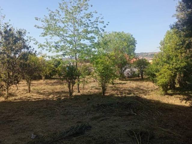 Terreno in vendita a Acireale, Sicilia