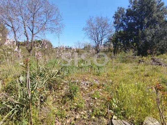 Terreno in vendita a Fiandaca, Acireale