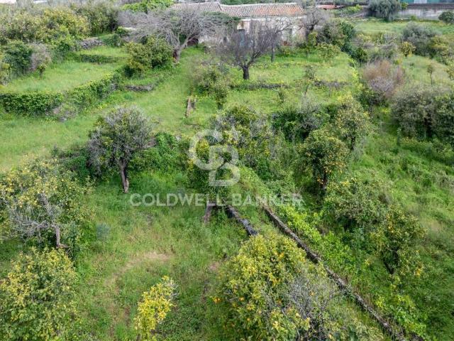 Terreno in vendita a Sciarelle, Acireale