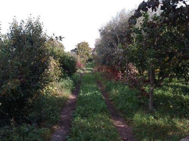 Terreno in vendita a Acireale, Sicilia