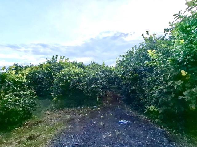 Terreno in vendita a Sciarelle, Acireale