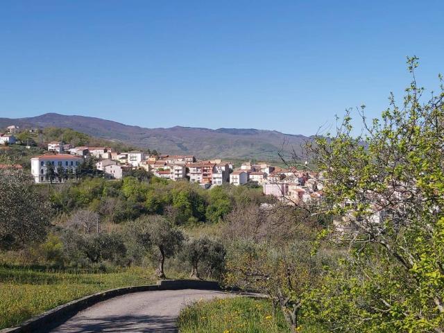 Terreno in vendita a Acquaviva Collecroce, Molise
