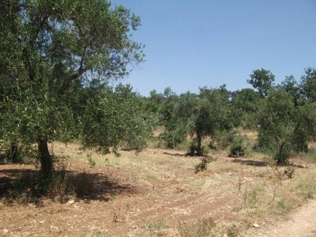 Terreno in vendita a Acquaviva delle Fonti, Bari