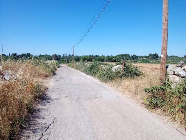 Terreno in vendita a Acquaviva delle Fonti, Bari