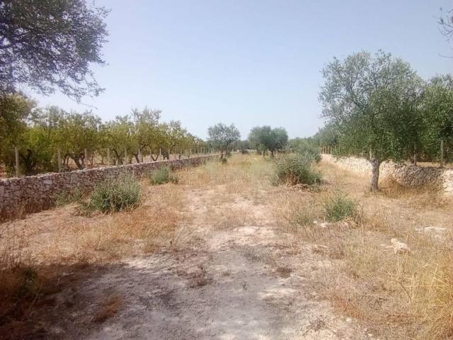 Terreno in vendita a Acquaviva delle Fonti, Bari