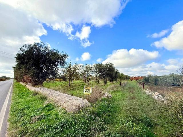 Terreno in vendita a Puglia, Bari