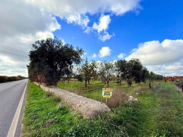 Terreno in vendita a Acquaviva delle Fonti, Bari