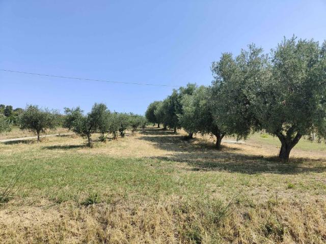 Terreno in vendita a Marche, Ascoli Piceno