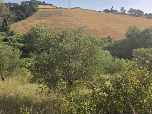 Terreno in vendita a Marche, Ascoli Piceno