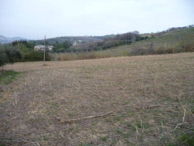 Terreno in vendita a Marche, Ascoli Piceno
