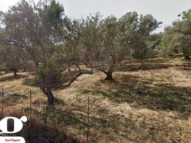 Terreno in vendita a Acquedolci, Sicilia