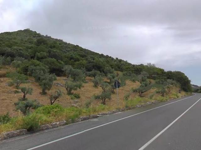 Terreno in vendita a Piglio, Lazio