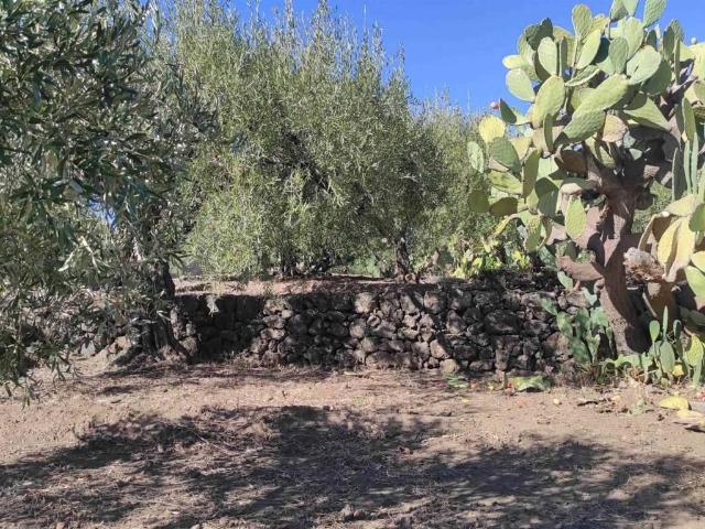 Terreno in vendita a Adrano, Catania