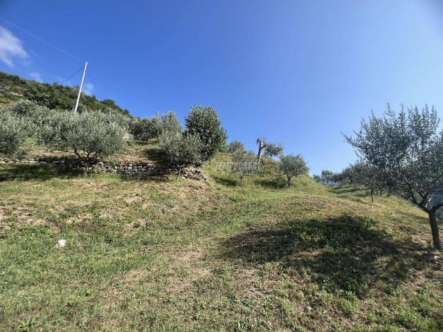 Terreno in vendita a Adrara San Martino, Lombardia