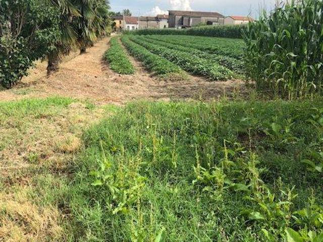 Terreno in vendita a Adria, Veneto
