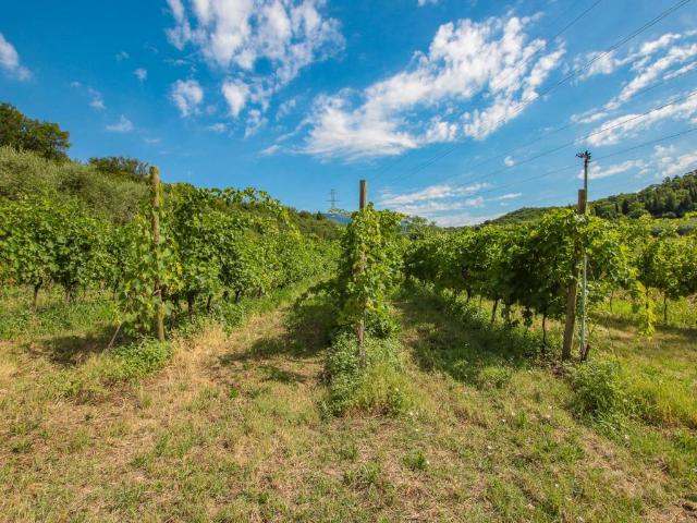 Terreno in vendita a Affi, Veneto