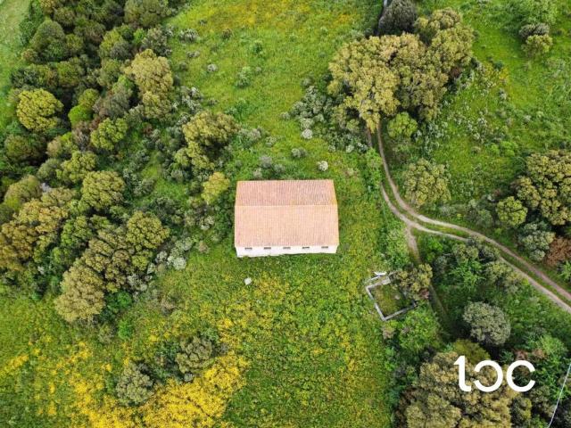 Terreno in vendita a Aggius, Sardigna/Sardegna