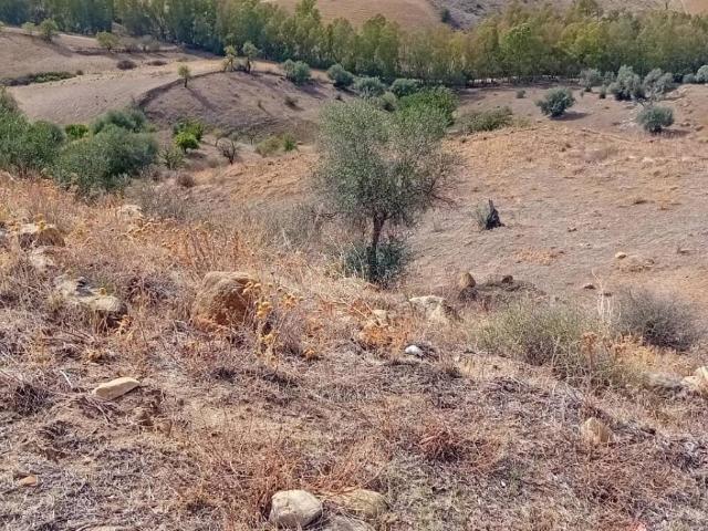 Terreno in vendita a Agira, Sicilia