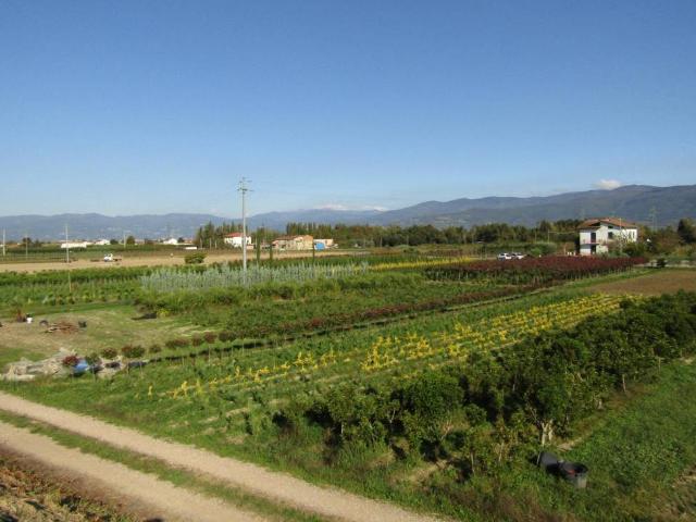 Terreno in vendita a Agliana, Toscana