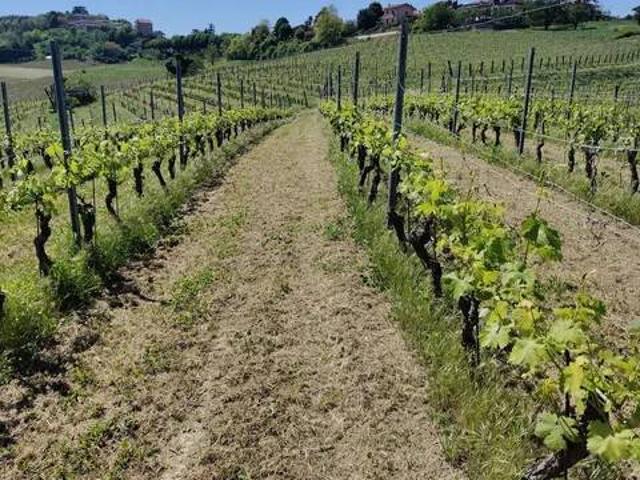 Terreno in vendita a Piemonte, Asti