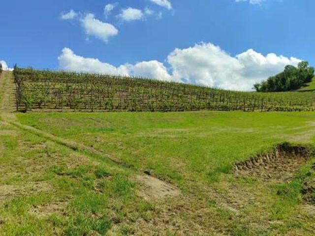 Terreno in vendita a Piemonte, Asti