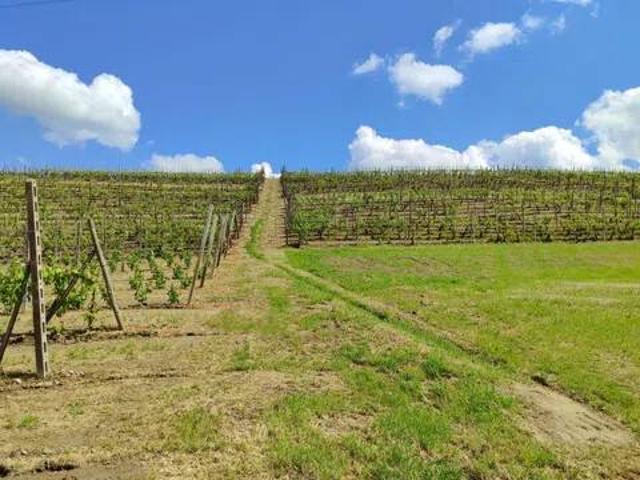 Terreno in vendita a Piemonte, Asti