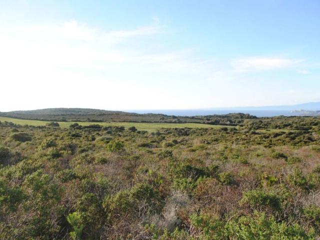 Terreno in vendita a Aglientu, Sardigna/Sardegna
