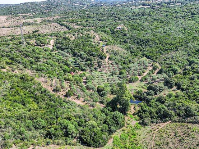Terreno in vendita a Aglientu, Sardigna/Sardegna