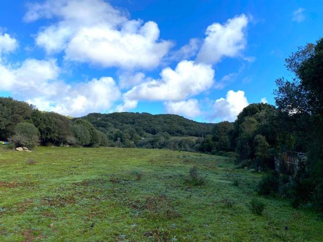 Terreno in vendita a Aglientu, Sardigna/Sardegna