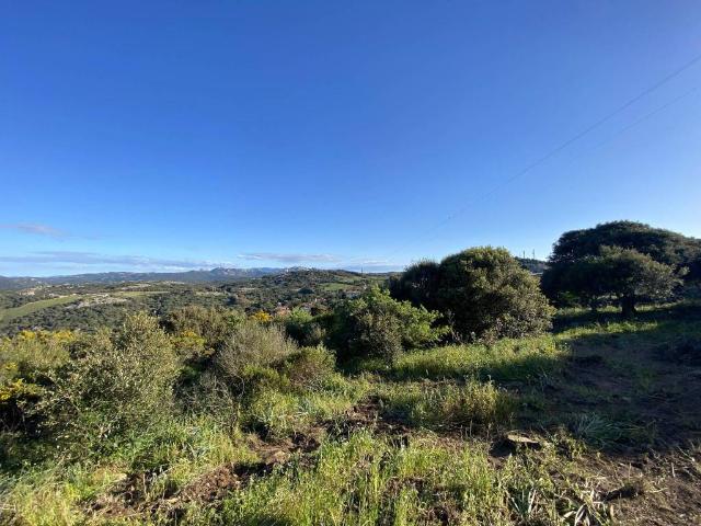 Terreno in vendita a Aglientu, Sardigna/Sardegna