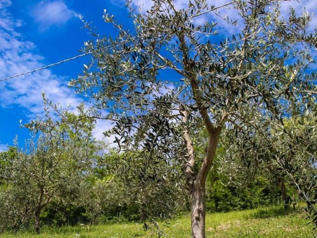 Terreno in vendita a Agrigento, Sicilia
