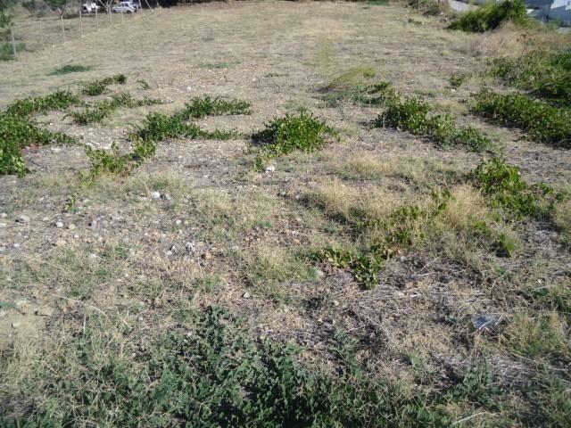 Terreno in vendita a Agrigento, Sicilia