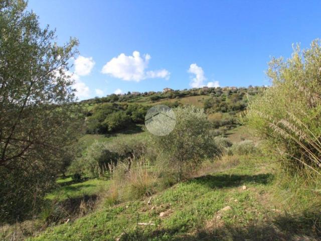 Terreno in vendita a Agropoli, Campania