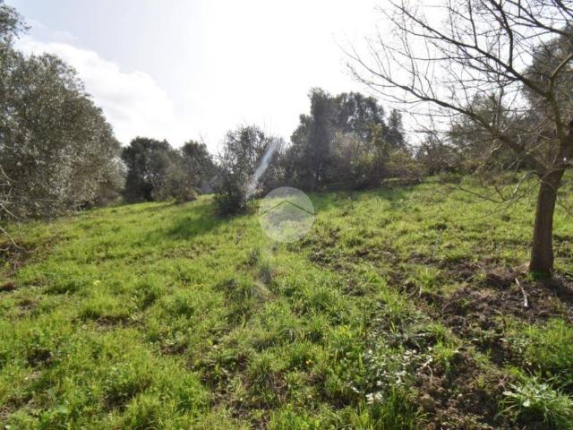 Terreno in vendita a Moio, Agropoli