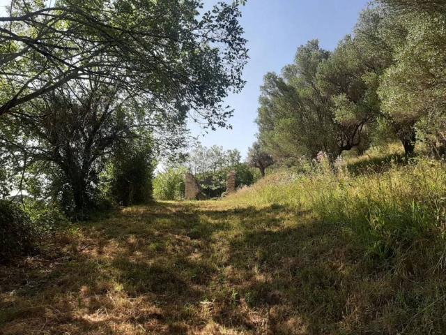 Terreno in vendita a Agropoli, Campania