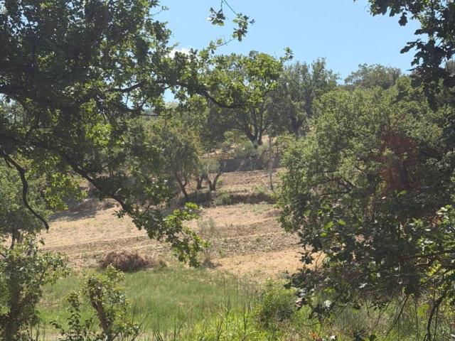 Terreno in vendita a Agropoli, Salerno