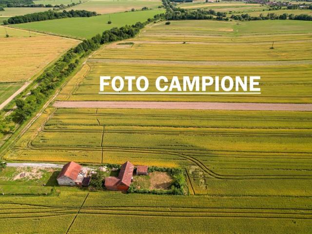Terreno in vendita a Agugliaro, Veneto