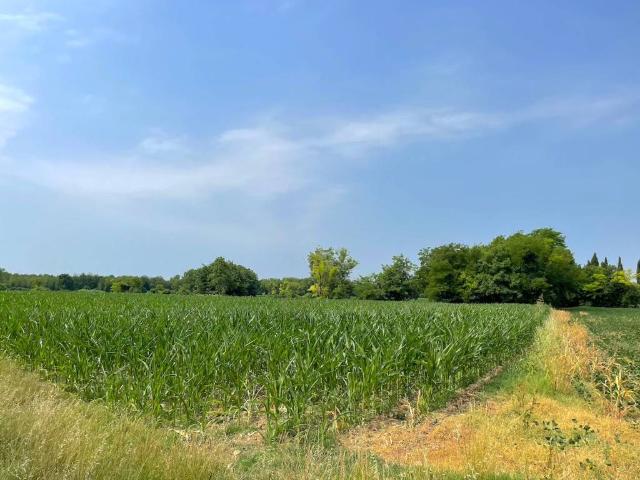 Terreno in vendita a Aiello Del Friuli, Friuli-Venezia Giulia